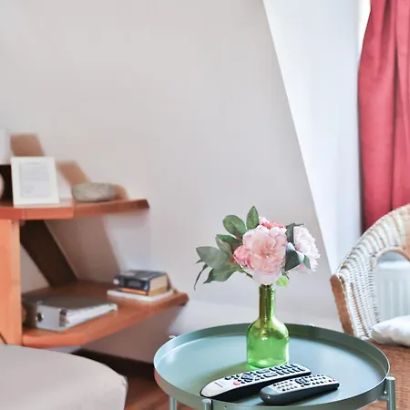 Duplex 3 Chateaux * Eguisheim